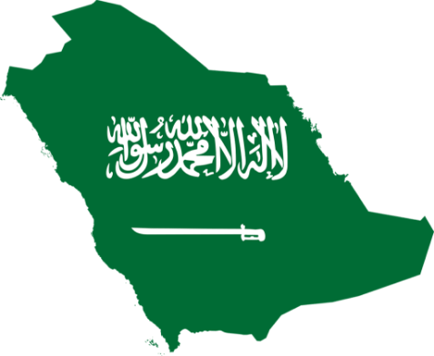 Supporting Saudization