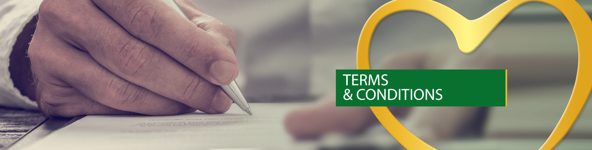 <h3 class="text-box__heading">Terms and Conditions</h3>